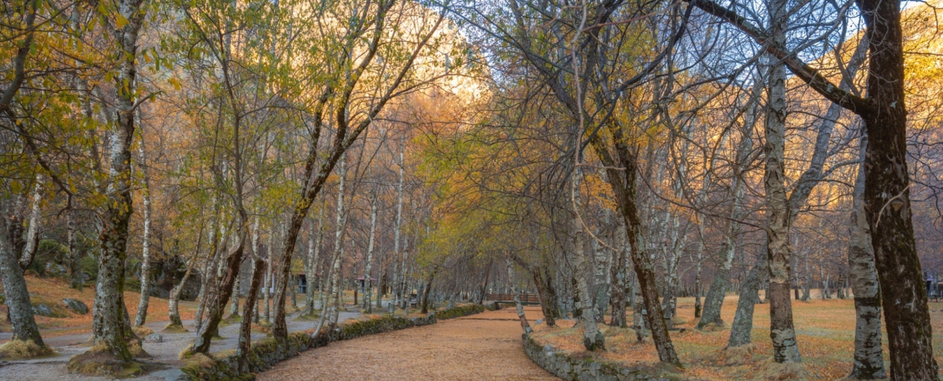 Quinta do Quinto - Covão da Ametade